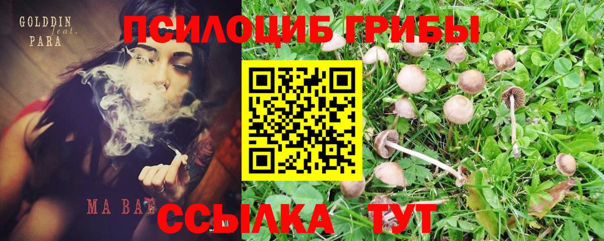 Галлюциногенные грибы Magic Shrooms Протвино